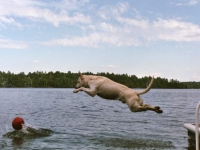 jumping