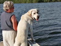 ladyanddog