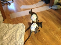 More baby fun